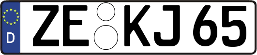 ZE-KJ65