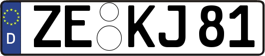 ZE-KJ81