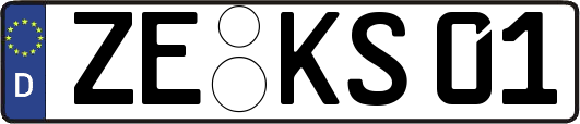 ZE-KS01