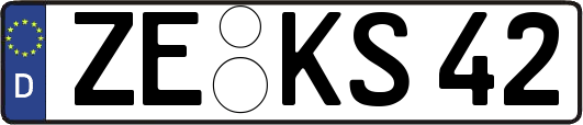 ZE-KS42