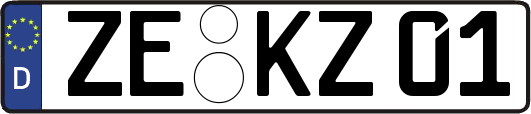 ZE-KZ01
