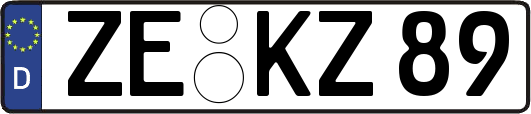 ZE-KZ89