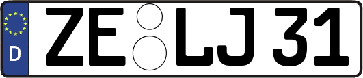 ZE-LJ31