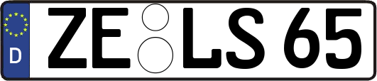 ZE-LS65