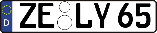 ZE-LY65