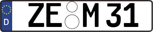 ZE-M31