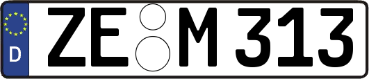 ZE-M313