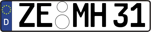 ZE-MH31