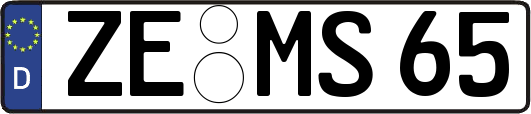 ZE-MS65