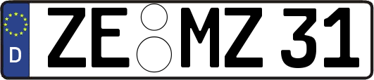 ZE-MZ31