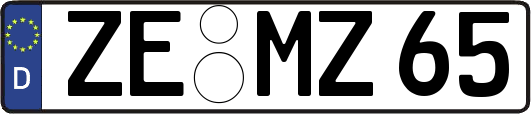 ZE-MZ65