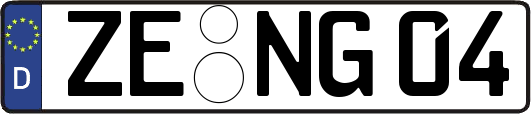 ZE-NG04