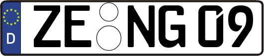 ZE-NG09