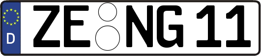 ZE-NG11