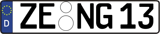 ZE-NG13