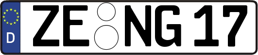 ZE-NG17