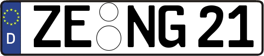 ZE-NG21
