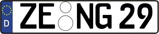ZE-NG29