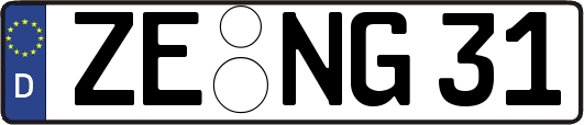 ZE-NG31