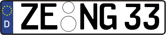 ZE-NG33