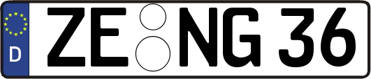 ZE-NG36