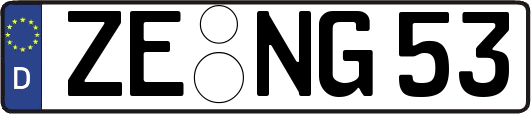 ZE-NG53