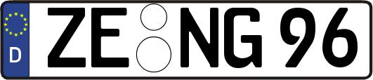 ZE-NG96