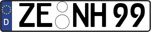 ZE-NH99