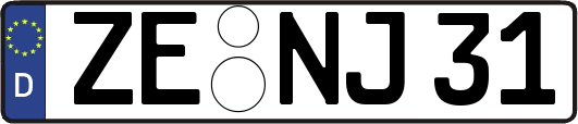 ZE-NJ31