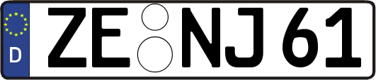 ZE-NJ61