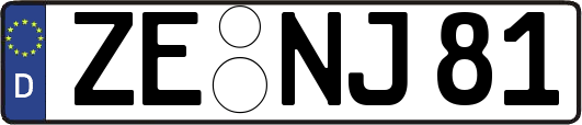 ZE-NJ81