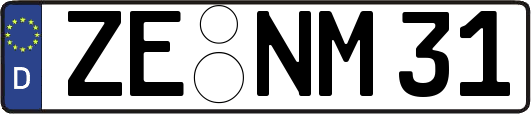 ZE-NM31