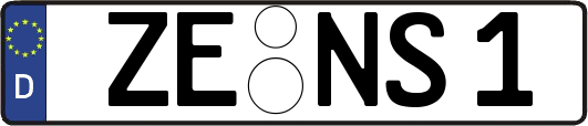 ZE-NS1