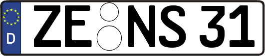 ZE-NS31
