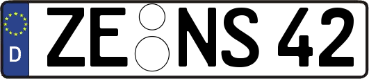 ZE-NS42