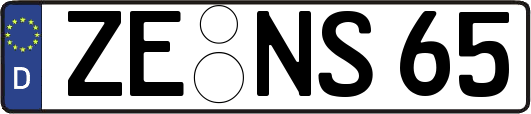 ZE-NS65