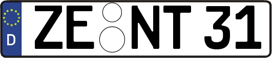ZE-NT31