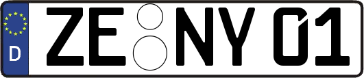 ZE-NY01