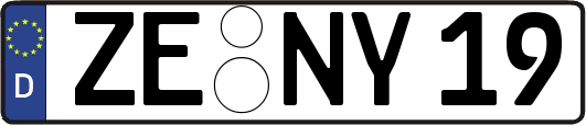 ZE-NY19