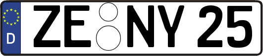 ZE-NY25
