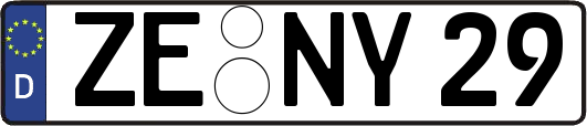 ZE-NY29