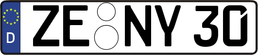 ZE-NY30