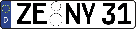 ZE-NY31