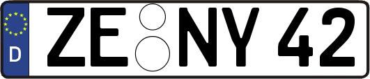 ZE-NY42