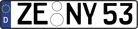 ZE-NY53