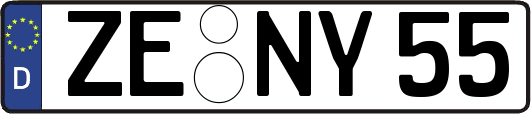 ZE-NY55