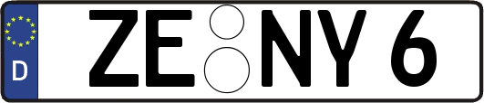 ZE-NY6