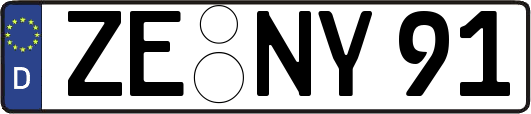 ZE-NY91