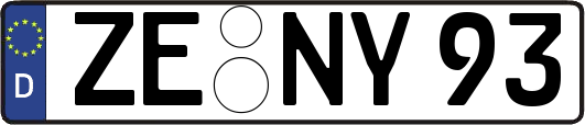 ZE-NY93