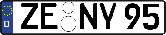 ZE-NY95
